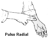 PULSO RADIAL